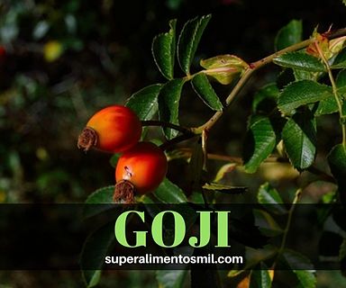 Goji berry - Bayas de Goji